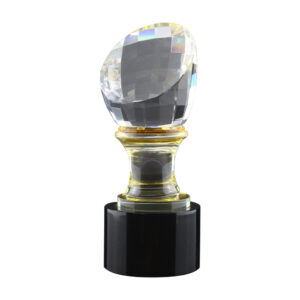 Crystal-Trophy-in-Wooden-Box-CR-60-Blank-300x300-ABM-1.jpg