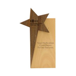 Engraved-Star-Design-Wooden-Trophy-CR-53-300x300-ABM-1.jpg