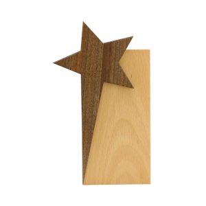 Star-Design-Wooden-Trophy-CR-53-Main-300x300-ABM-1.jpg