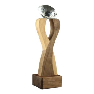 Wooden-Crystal-Trophy-CR-63-02-300x300-ABM-1.jpg