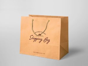 Shopping Bag | Gift Bag | Paper Bag | Karft Bag